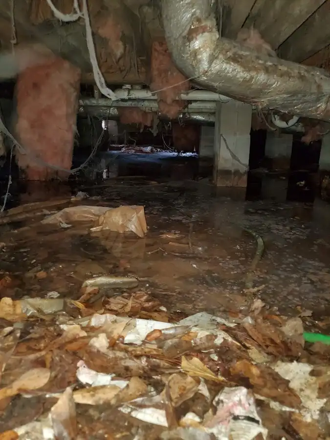 Crawl space flood assessment for Leak Detection & Repair in Bellefonte
