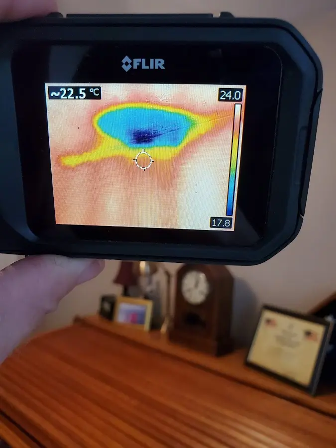 Thermal imaging inspection for water damage in Bellefonte